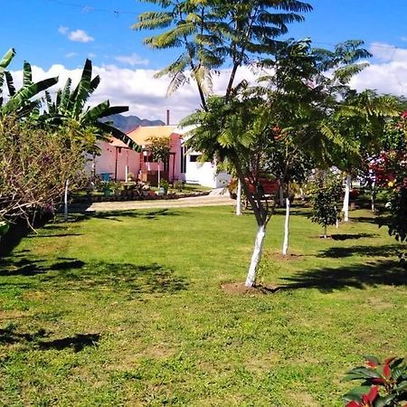 Kali-Mali Casa De Campo Eco-Friendly Malinalco Villa Eksteriør billede