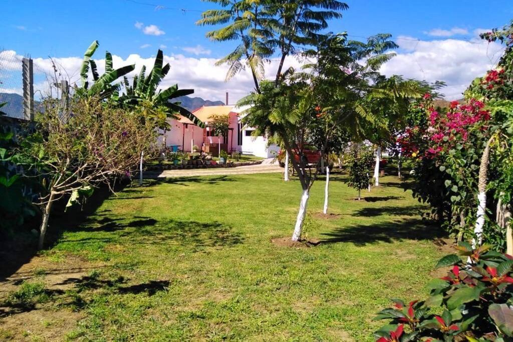 Kali-Mali Casa De Campo Eco-Friendly Malinalco Villa Eksteriør billede